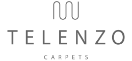 Telenzo logo